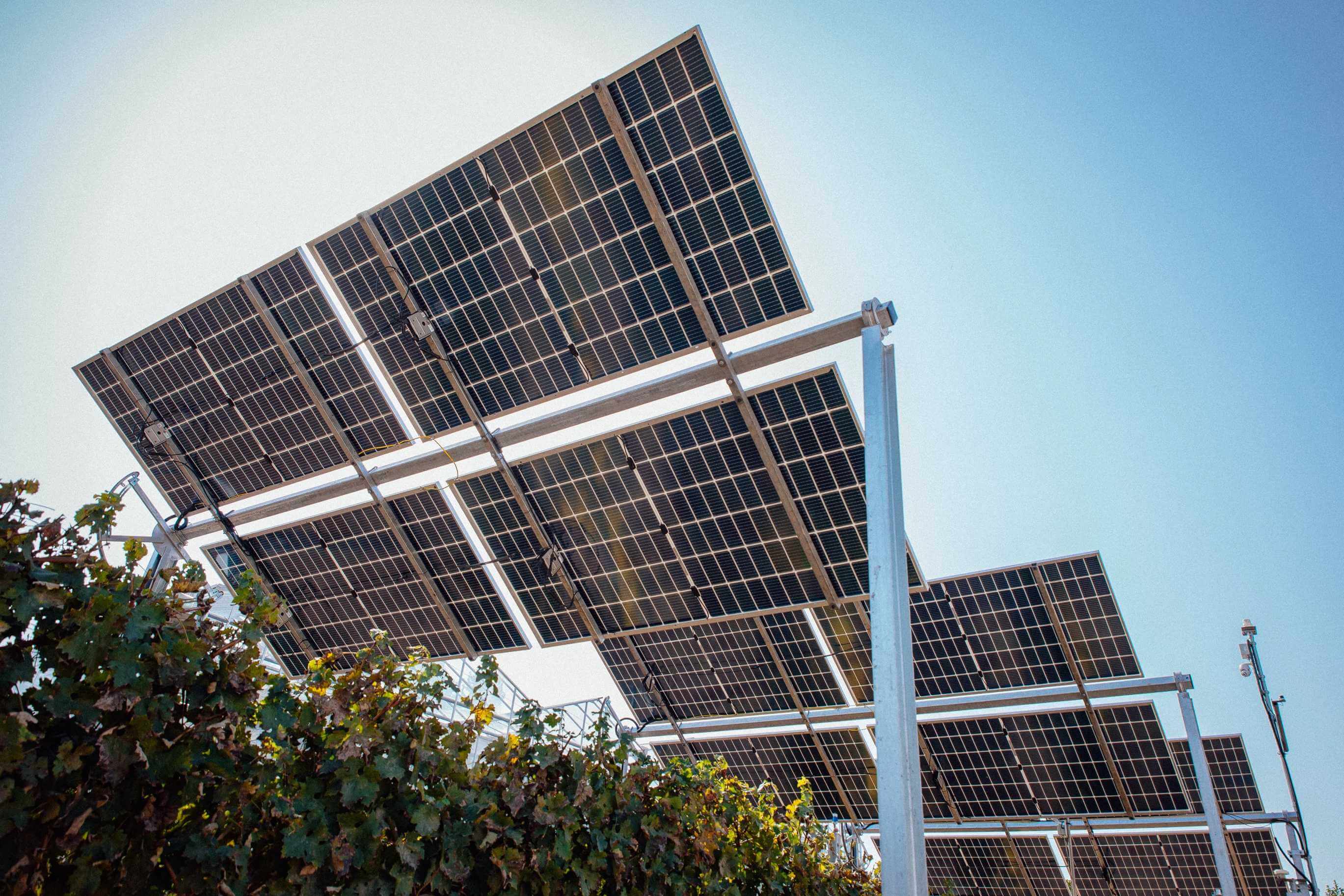 agrivoltaïsme