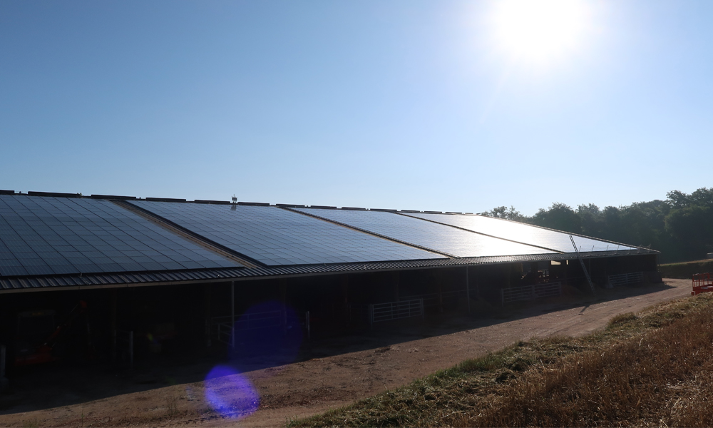 French cattle breeding farm improves solar safety and increases revenues by 5%