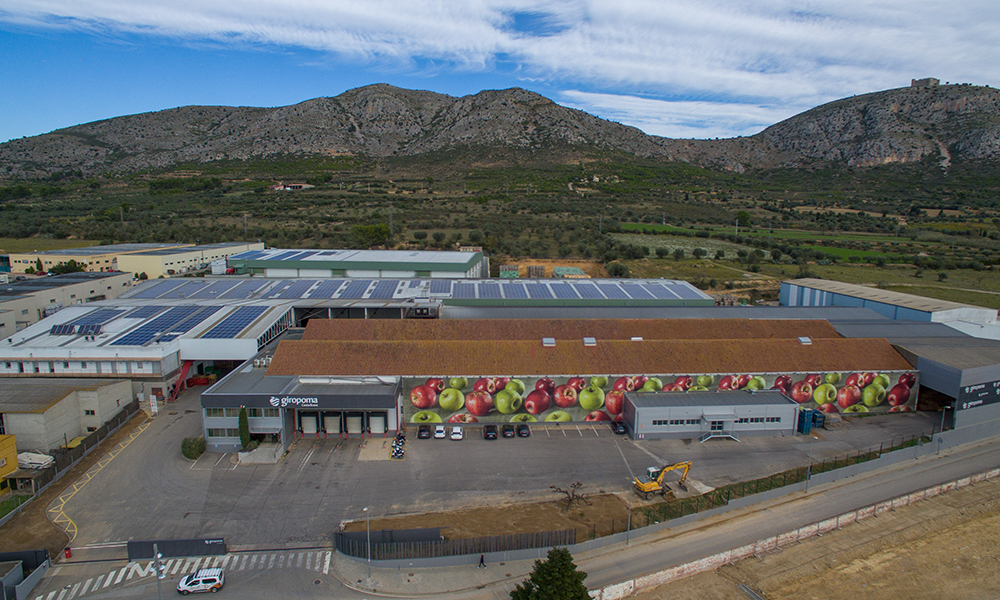 Solar Power Bears Fruit for Spanish Company