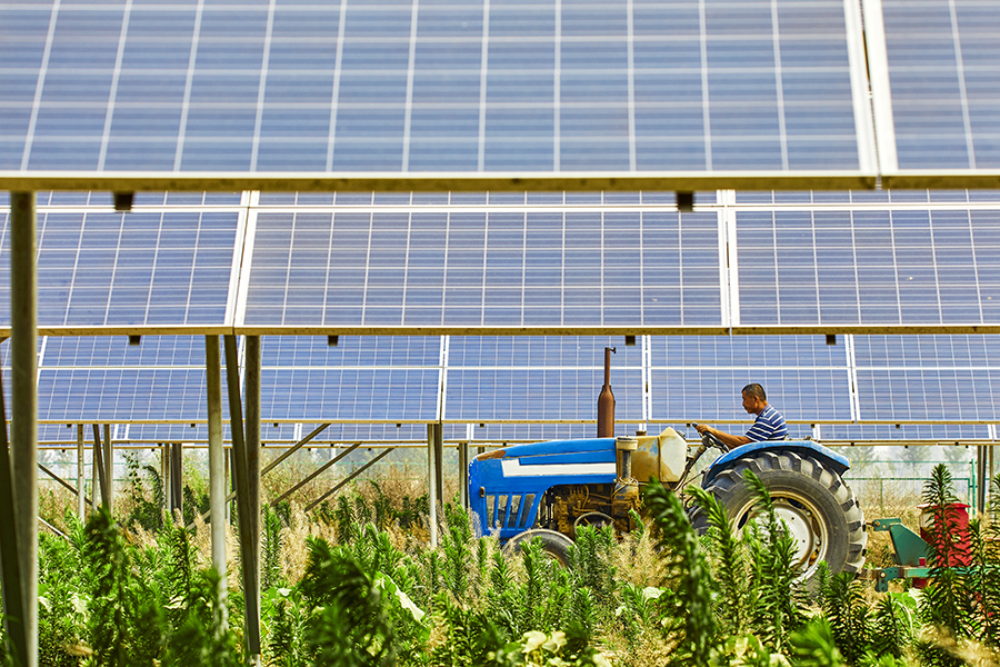 Solar-Powered Farms
